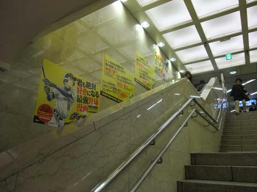 DSCF1131.jpg