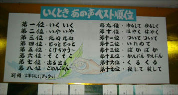nazopa33.jpg