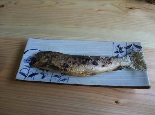 DSCF2336.jpg