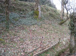 yukiwari2009_1.jpg