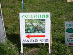 walk_fuyu20-4.jpg