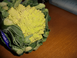 cauliflower.png