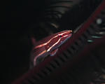770d7dd1.JPG