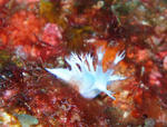 P2010034.JPG
