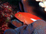 P2010046.JPG