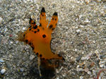 M0010874.JPG