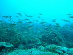 M0010884.JPG