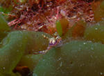 M0010931.JPG