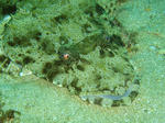 P4050375.JPG