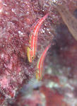 4ef11a5fjpeg
