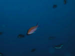 P1010087.JPG
