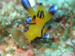 pika0218.JPG