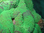 IMG_0648.JPG