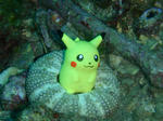 pika0426.JPG