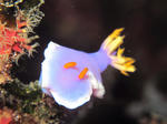 sin0517.JPG