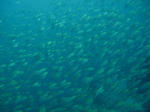 isaki0523.JPG