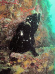 oomonn0627.JPG