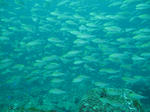IMG_7624.JPG