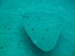IMG_7628.JPG