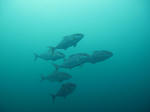 IMG_7657.JPG