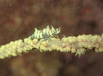 IMG_7748.JPG