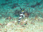 IMG_7777.JPG