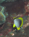 IMG_7781.JPG