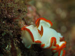 IMG_7786.JPG