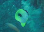 IMG_7879.JPG