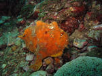 IMG_6952.JPG