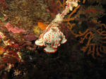 IMG_7112.JPG