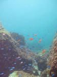 IMG_7224.JPG