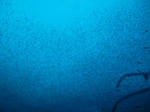 IMG_7260.JPG