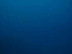 IMG_7316.JPG