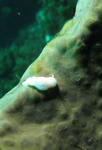 IMG_7450.JPG