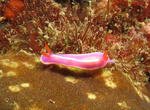 IMG_7557.JPG