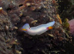 IMG_7561.JPG