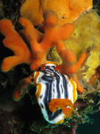 IMG_7571.JPG