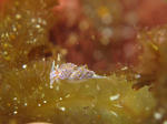 IMG_7690.JPG