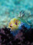 IMG_7686.JPG