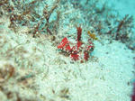 IMG_7683.JPG