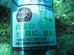 IMG_7774.JPG