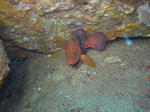IMG_7771.JPG