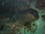 IMG_7961.JPG