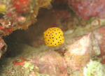 minamihako100906.JPG