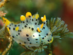 2011.02.02.mizutmaumisui.JPG