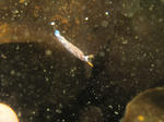 suwi-to0417.JPG