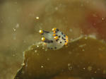 tunozaya0417.JPG