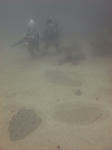tubakuro06617.jpg