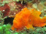 IMG_4566.JPG